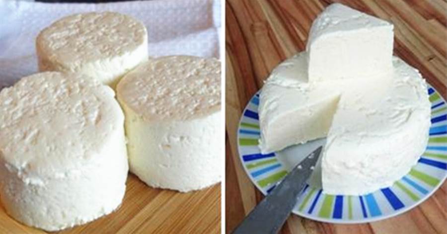 Se você tem 1 litro de leite, meio limão e 1 iogurte, pode preparar o melhor queijo caseiro