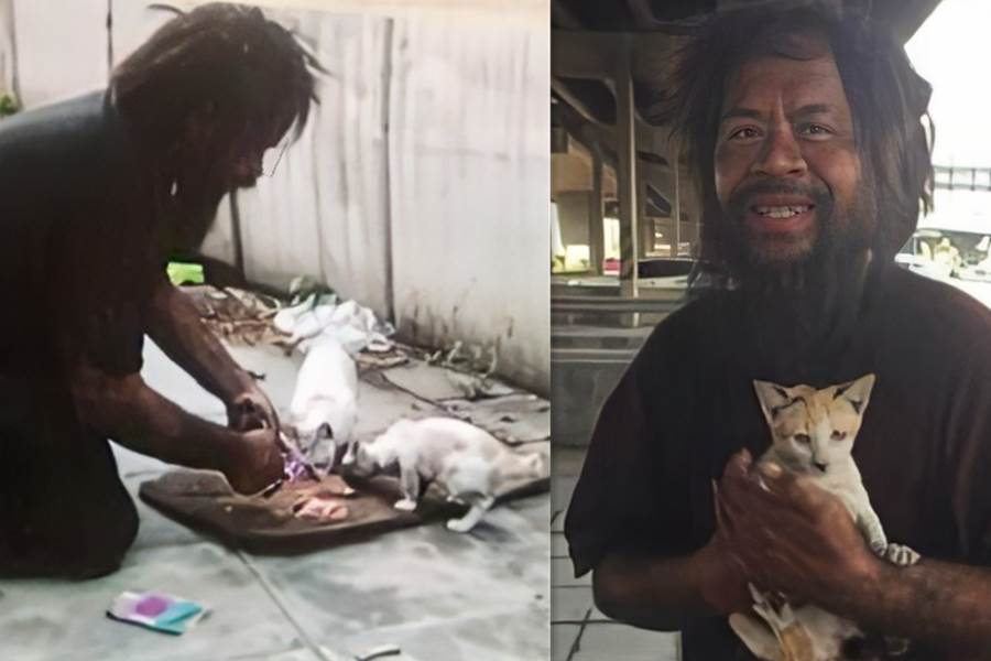 O vagabundo de rua vende limões para alimentar seu melhor amigo; Às vezes, Dum vai dormir sem comer, mas seus gatos nunca ficam sem comida