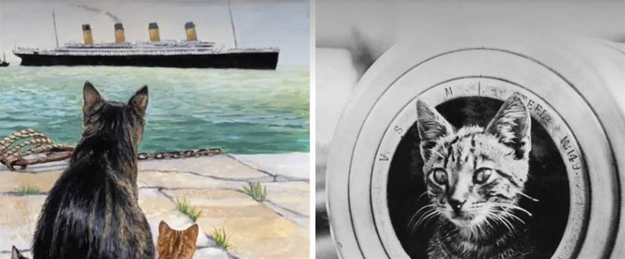 Conheça a história de Jenny, a gata que estava a bordo do Titanic